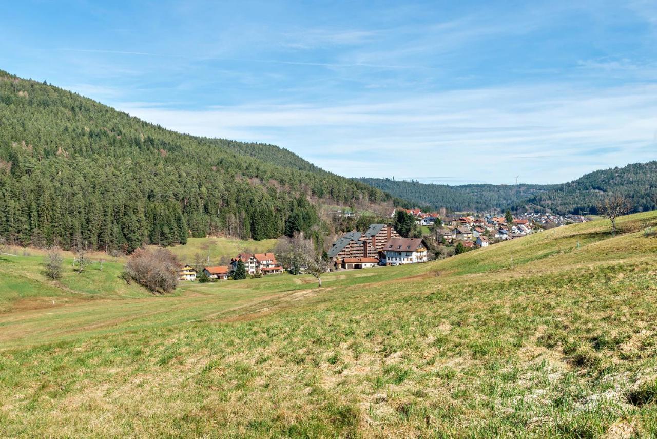 바이에르스브론 Schwarzwald Woelkchen 아파트 외부 사진